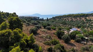 Αγροτεμάχια 4.005 τ.μ. για πώληση, Αργολίδα, Κρανίδι-thumb-19