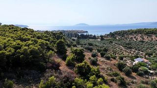 Αγροτεμάχια 4.005 τ.μ. για πώληση, Αργολίδα, Κρανίδι-thumb-20