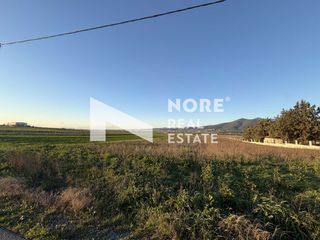 Αγροτεμάχια 4.700 τ.μ. για πώληση