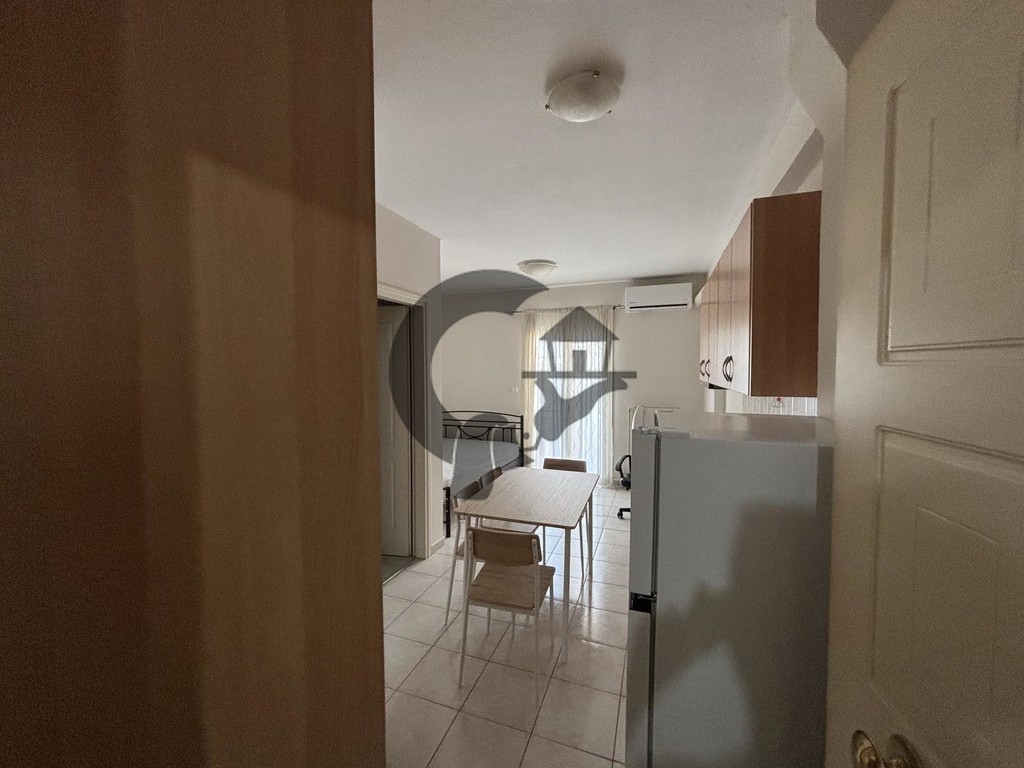 Studio / γκαρσονιέρα 30 τ.μ. πρός ενοικίαση, Ν. Ιωαννίνων, Ιωάννινα