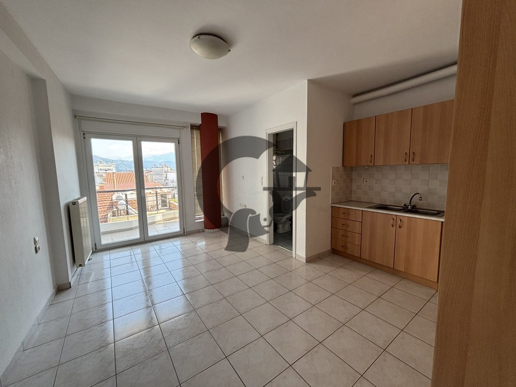 Studio / γκαρσονιέρα 30 τ.μ. πρός ενοικίαση, Ν. Ιωαννίνων, Ιωάννινα