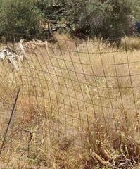 Οικόπεδο 647 τ.μ. για πώληση