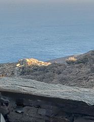 Οικόπεδο 4.500 τ.μ. για πώληση