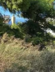 Οικόπεδο 1.231 τ.μ. για πώληση