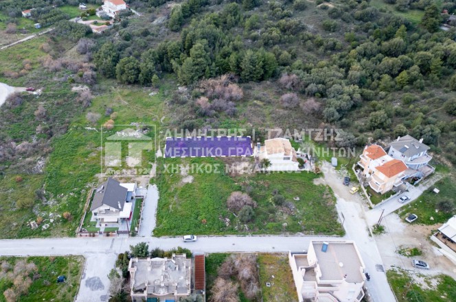 Οικόπεδο 433 τ.μ. προς πώληση, Νέες Παγασές