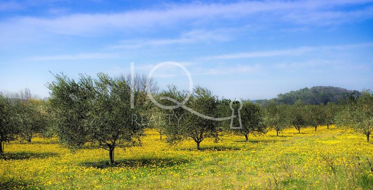 Αγροτεμάχια 35.000 τ.μ. για πώληση, Μεσσηνία, Μελιγαλά