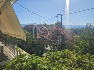 Μονοκατοικία 160 τ.μ. προς πώληση, Μεσσηνία, Μελιγαλά-thumb-12