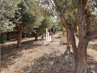 Οικόπεδο 547 τ.μ. πρός πώληση