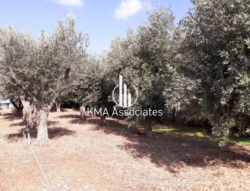 Οικόπεδο 547 τ.μ. πρός πώληση, Αθήνα - Νότια Προάστια, Βάρη- Βάρκιζα