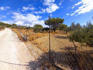 Αγροτεμάχια 4.855 τ.μ. για πώληση, Ν. Λασιθίου, Ιεράπετρα-thumb-6