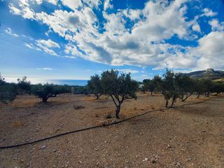 Αγροτεμάχια 4.855 τ.μ. για πώληση, Ν. Λασιθίου, Ιεράπετρα-thumb-14