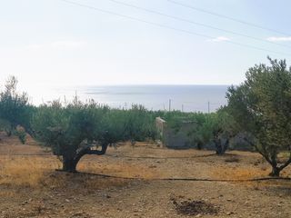 Αγροτεμάχια 4.855 τ.μ. για πώληση, Ν. Λασιθίου, Ιεράπετρα-thumb-17