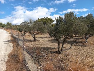 Αγροτεμάχια 4.855 τ.μ. για πώληση, Ν. Λασιθίου, Ιεράπετρα-thumb-24