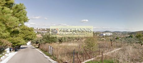 Αγροτεμάχια 2.850 τ.μ. προς πώληση