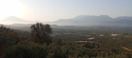 Οικόπεδο 4.600 τ.μ. πρός πώληση
