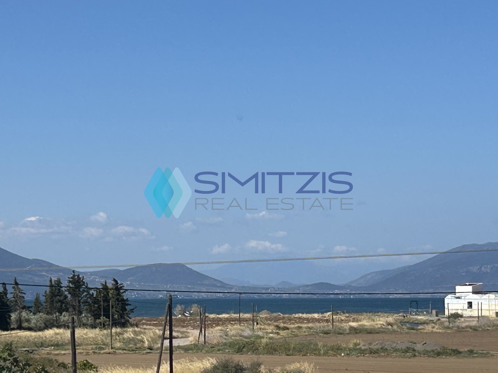 Μονοκατοικία 220 τ.μ. πρός πώληση, Εύβοια, Μεσσαπία