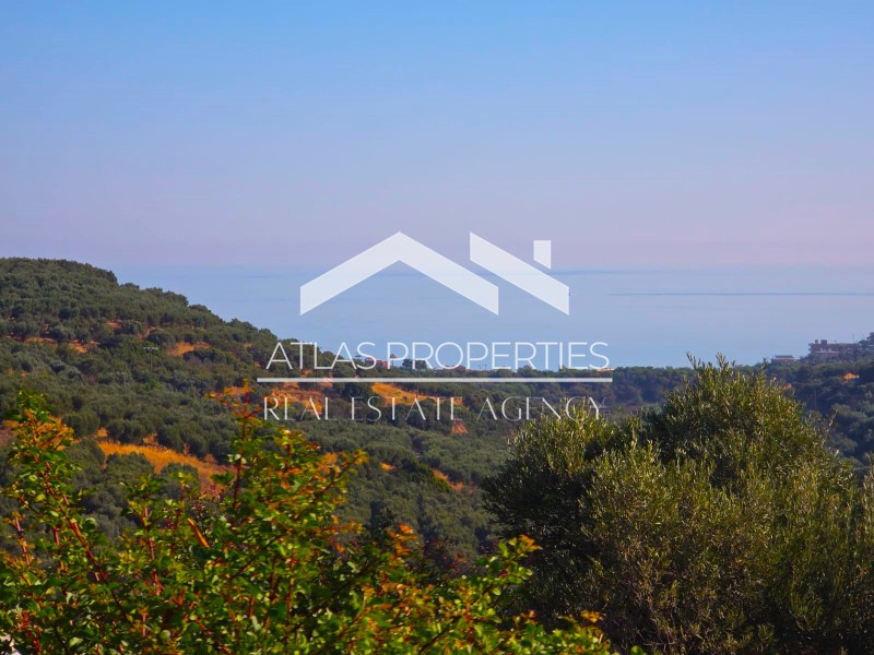 Οικόπεδο 9.716 τ.μ. προς πώληση, Κάτω Σταλός