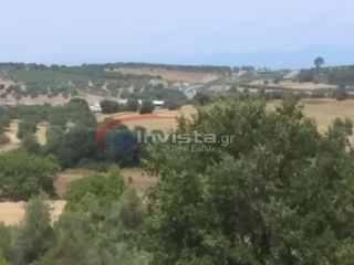 Αγροτεμάχια 9.000 τ.μ. για πώληση