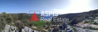 Αγροτεμάχια 15.312 τ.μ. για πώληση