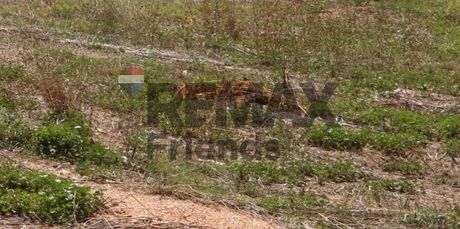Αγροτεμάχια 2.112 τ.μ. πρός πώληση