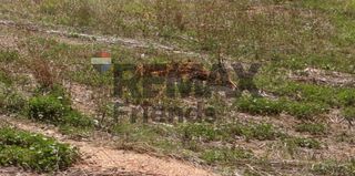Αγροτεμάχια 2.112 τ.μ. για πώληση