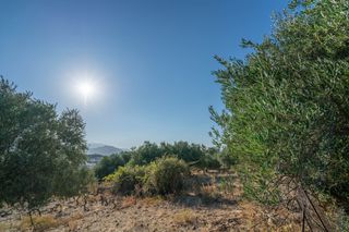 Οικόπεδο 2.413 τ.μ. για πώληση, Ν. Ρεθύμνου, Λάππα-thumb-12