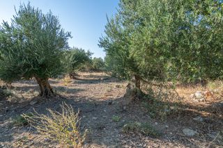 Οικόπεδο 2.413 τ.μ. για πώληση, Ν. Ρεθύμνου, Λάππα-thumb-9