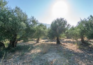 Οικόπεδο 2.413 τ.μ. για πώληση, Ν. Ρεθύμνου, Λάππα-thumb-8