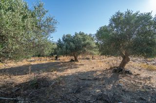 Οικόπεδο 2.413 τ.μ. για πώληση, Ν. Ρεθύμνου, Λάππα-thumb-11