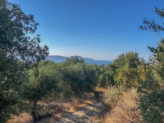 Οικόπεδο 2.413 τ.μ. για πώληση, Ν. Ρεθύμνου, Λάππα-thumb-15