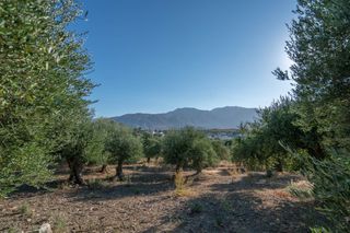 Οικόπεδο 2.413 τ.μ. για πώληση, Ν. Ρεθύμνου, Λάππα-thumb-14