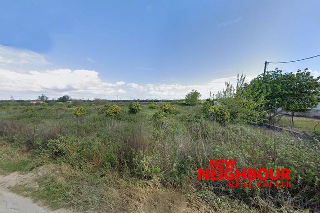 Οικόπεδο 3.050,40 τ.μ. για πώληση, Ν. Ηλείας, Λεχαινά