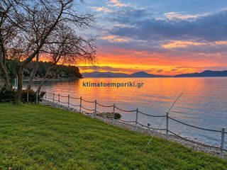 Βίλλα 110 τ.μ. για πώληση, Εύβοια, Αρτεμίσιο-thumb-13