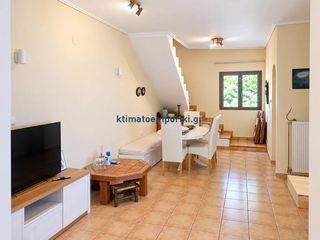 Βίλλα 110 τ.μ. για πώληση, Εύβοια, Αρτεμίσιο-thumb-11
