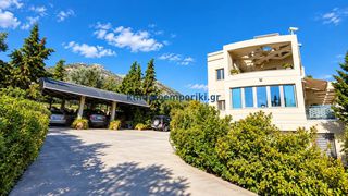 Βίλλα 390 τ.μ. για πώληση, Εύβοια, Ερέτρια-thumb-1