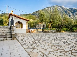 Βίλλα 340 τ.μ. για πώληση, Μεσσηνία, Καλαμάτα-thumb-5