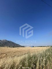 Αγροτεμάχια 38.307 τ.μ. για πώληση