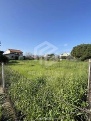 Οικόπεδο 956 τ.μ. προς πώληση, Έξω Παναγίτσα-thumb-2