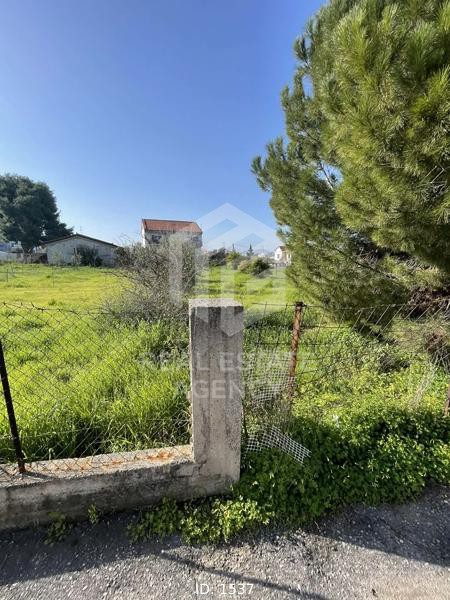 Οικόπεδο 956 τ.μ. προς πώληση, Έξω Παναγίτσα