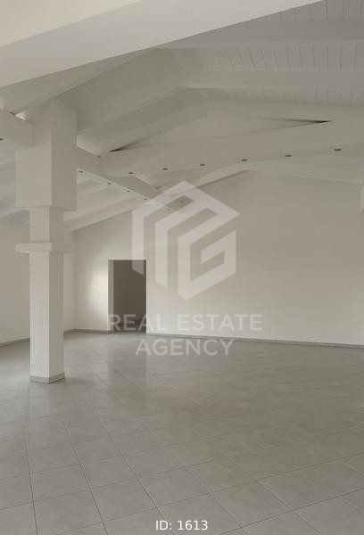 Διαμέρισμα 245 τ.μ. πρός ενοικίαση, Αττική - Υπόλοιπο, Μαρκόπουλο