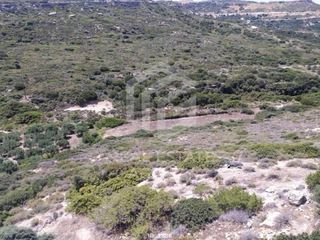 Αγροτεμάχια 117.941 τ.μ. για πώληση