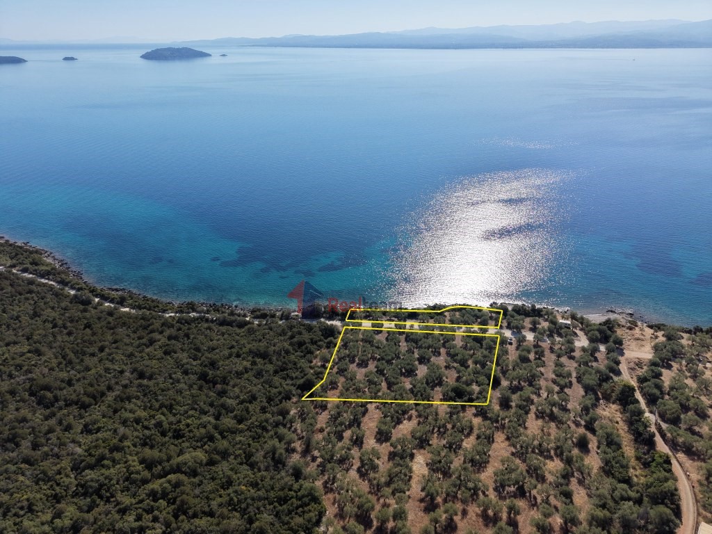 Αγροτεμάχια 4.000 τ.μ. προς πώληση, Πελασγία