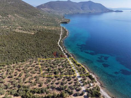 Αγροτεμάχια 4.000 τ.μ. προς πώληση