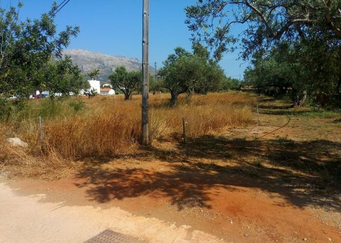 Αγροτεμάχια 7.350 τ.μ. προς πώληση, Οικονομιάνικα