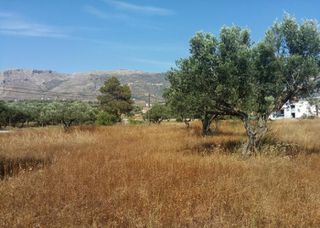Αγροτεμάχια 7.350 τ.μ. για πώληση