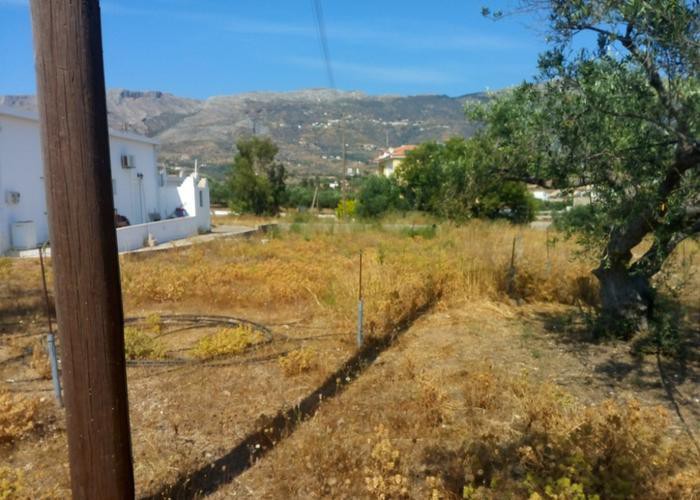 Αγροτεμάχια 7.350 τ.μ. προς πώληση, Οικονομιάνικα
