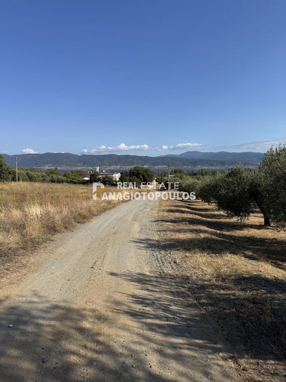 Οικόπεδο 3.800 τ.μ. προς πώληση, Θεσσαλονίκη - Υπόλ. Νομού, Μάδυτος