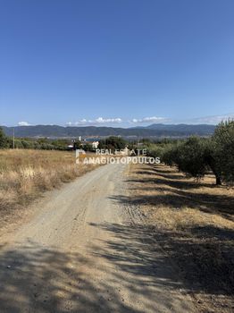 Οικόπεδο 3.800 τ.μ. προς πώληση