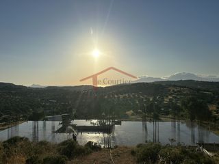 Συγκρότημα διαμερισμάτων 240 τ.μ. πρός πώληση, Ν. Ηρακλείου, Τυμπάκι-thumb-8