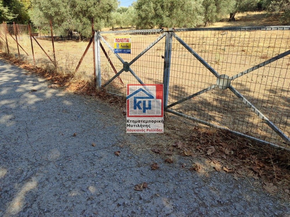 Οικόπεδο 2.781 τ.μ. προς πώληση, Ν. Λέσβου, Λέσβος - Καλλονή